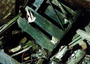 Rotted Wood